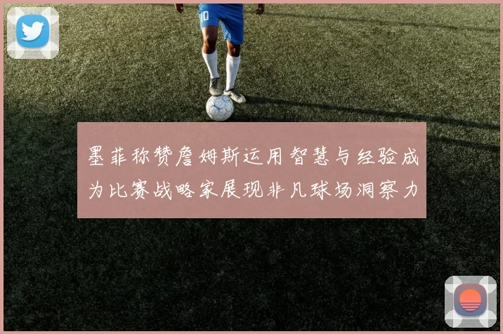 墨菲称赞詹姆斯运用智慧与经验成为比赛战略家展现非凡球场洞察力