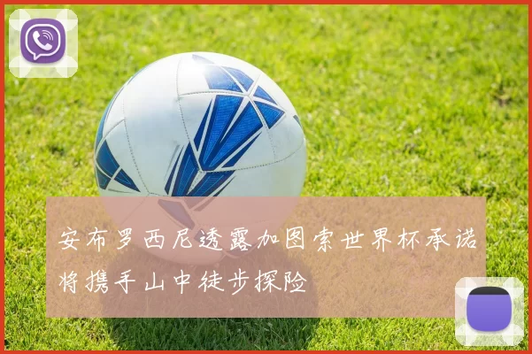 安布罗西尼透露加图索世界杯承诺将携手山中徒步探险
