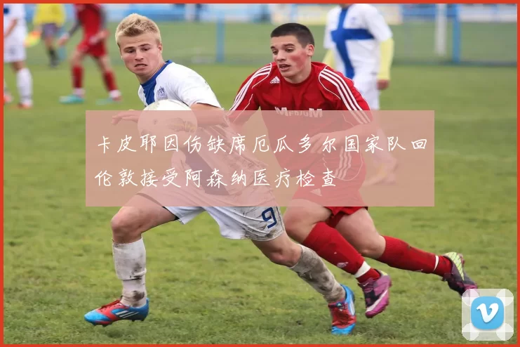 卡皮耶因伤缺席厄瓜多尔国家队回伦敦接受阿森纳医疗检查